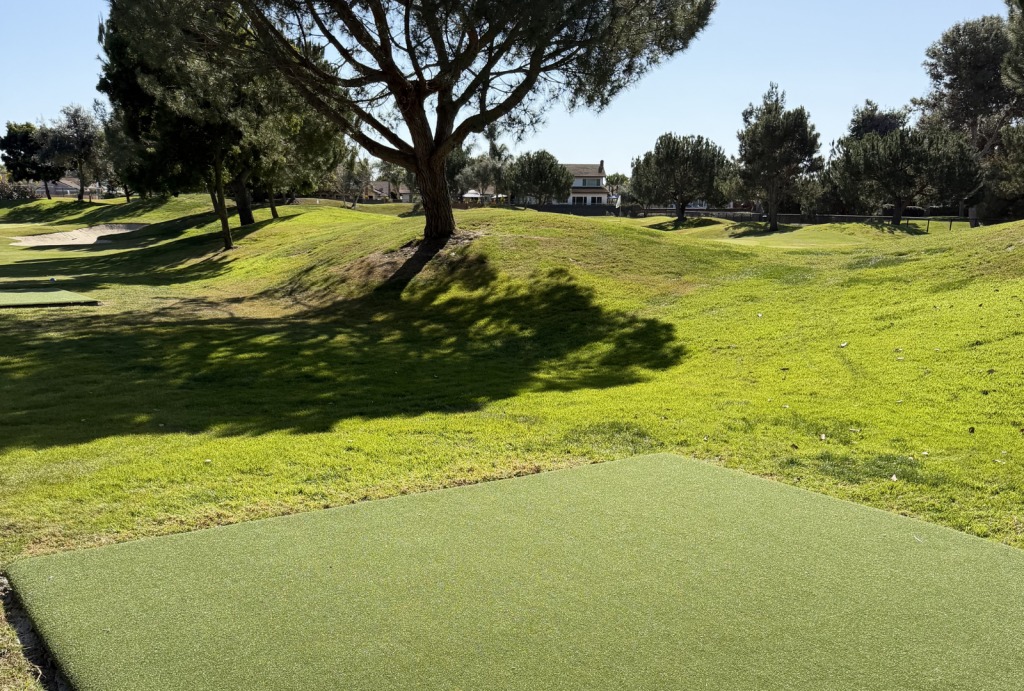 Synthetic turf installation for a San Diego property