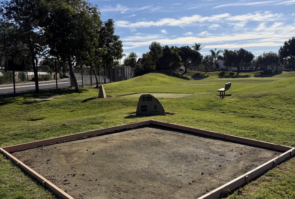 Synthetic turf for a San Diego common area